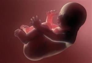آمارهای تکان دهنده از وضعیت سقط جنین در کشور