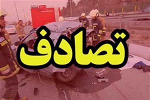 تصادف در کربلاجان زائر ایرانی را گرفت