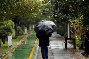باران هوای تهران را دلپذیر کرد+تصاویر 