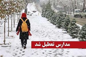 بارش برف مدارس اردبیل را به تعطیلی کشاند
