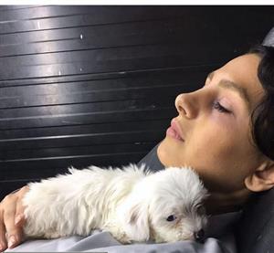 استراحت کردن عجیب و غریب خانم بازیگر با یک سگ+عکس