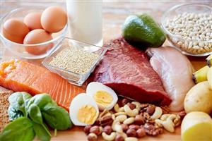 مصرف پروتئین د ربدن