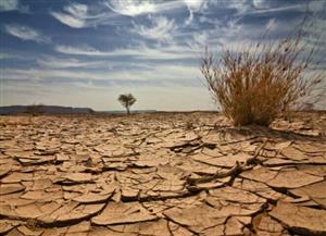 خشکسالی در 95 درصد کشور