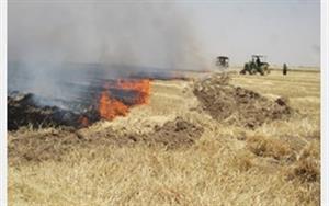 هشدار آتش نشانی ورامین نسبت به وقوع آتش سوزی در مزارع غلات