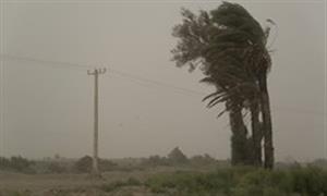 طوفان سیستان و بلوچستان منجر به مصدومیت ۵۴۱ نفر شد