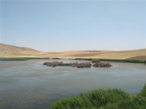 نجات دریاچه ارومیه با حفاظت از سایت پرنده‌نگری و لایروبی رودخانه‌ها

