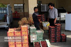 10 میدان میوه و تره بار تهران سرسبز می‌شوند
