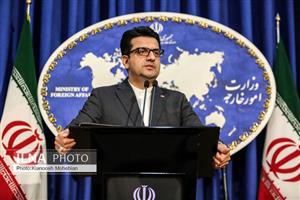  موسوی: رفتار مرزبانی آمریکا نسبت به ایرانیان نقض فاحش حقوق بشر است 