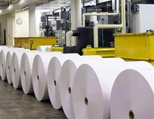 تایید واردات بیش از ۷۸ میلیون دلار کاغذ