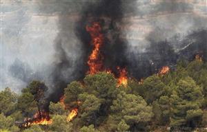 افزایش آتش‌سوزی‌های عمدی جنگلی در کشور