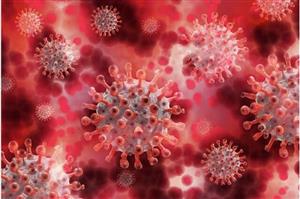 گونه‌های جدید کروناویروس تا چه میزان خطرناک هستند؟