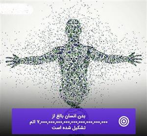 بدن انسان از چند اتم تشکیل شده است؟!