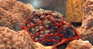سلول های سرطانی چگونه از تخریب سیستم ایمنی جلوگیری می کنند؟