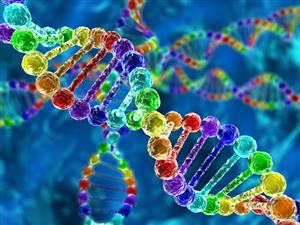 سرطان ناشی از جهش های DNA است