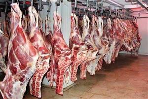 علت گرانی گوشت و مرغ از زبان یک مقام وزارت جهاد