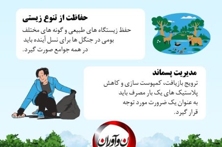 محیط زیست