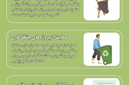 چگونه جنگل های پایدار ایجاد کنیم؟