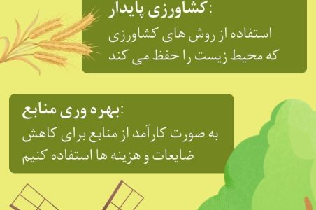 اقتصاد پایدار