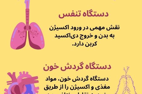 4 دستگاه حیاتی و مهم بدن