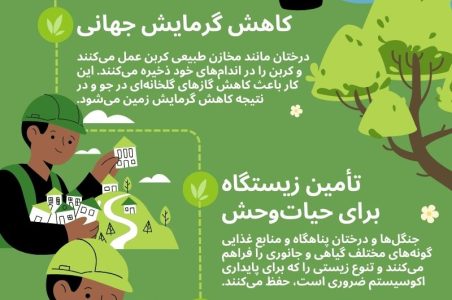 درخت نماد پایداری