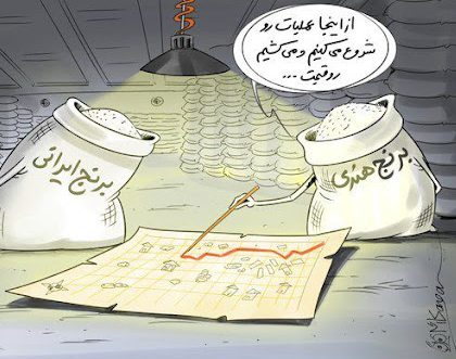 کاریکاتور گرانی برنج