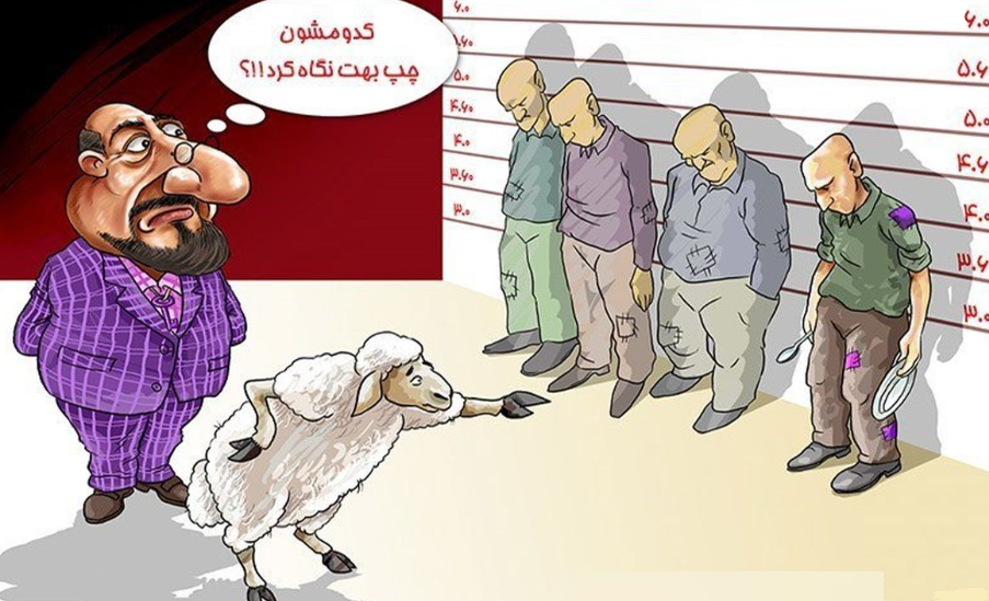 کاریکاتور گوشت گوسفند